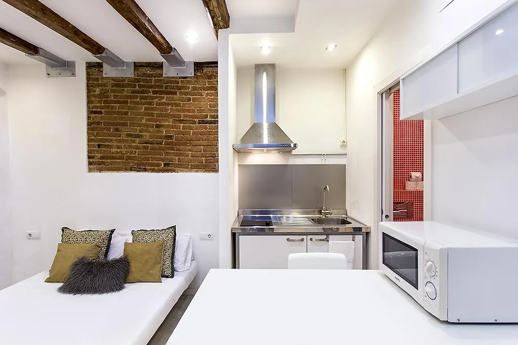 Studio Apartment Carrer Del Torrent De L'Olla Barcelona