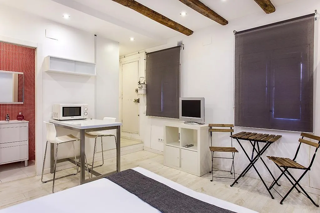Studio Apartment Carrer Del Torrent De L'Olla Barcelona